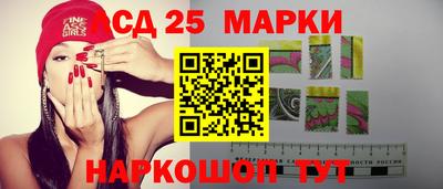 гидра Камышлов
