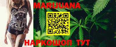 гидра Камышлов