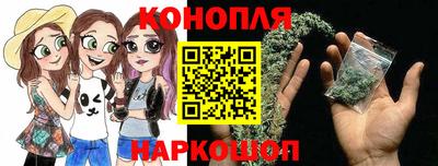гидра Камышлов