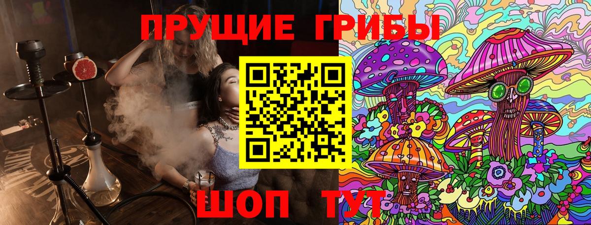 Псилоцибиновые грибы Magic Shrooms  Вход с VPN  что такое   Конаково 