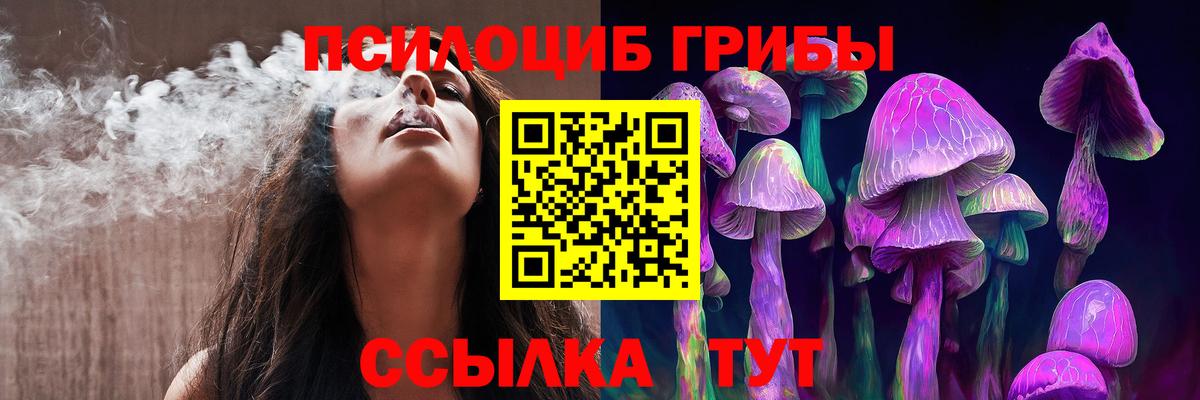 Псилоцибиновые грибы GOLDEN TEACHER Конаково